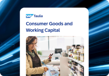 consumer goods working capital datasheet thumbnail