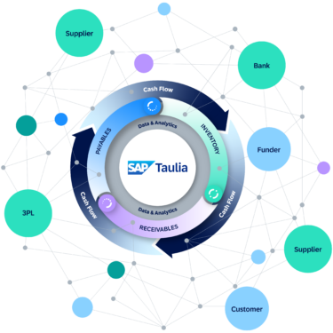 SAP Taulia network diagram